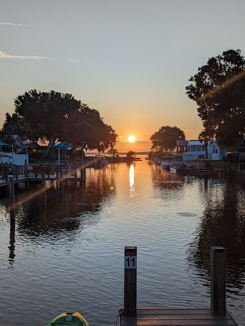 A Soft Verdict From the Dock