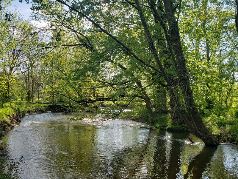 A Spot For Picnics And Walks