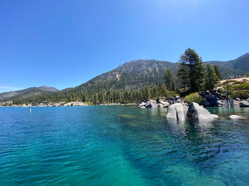 A Swim Worth the Shiver