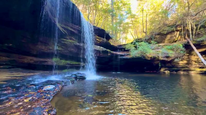 A Swimming Hole For Warm Days