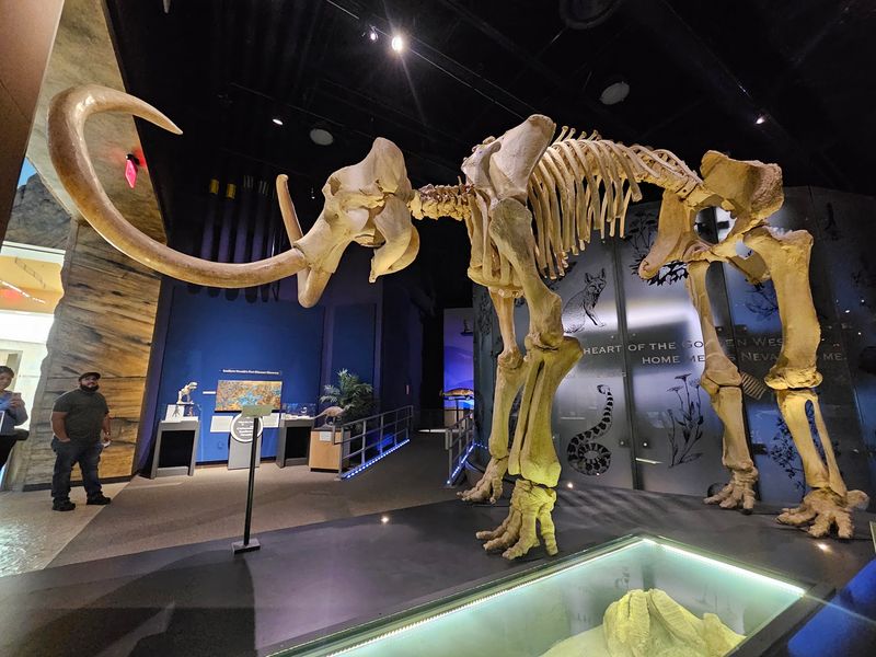 A Time Machine From Millions of Years Ago A Time Machine From Millions of Years Ago