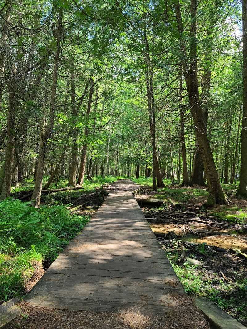 A Trail Built for the Whole Family A Trail Built for the Whole Family