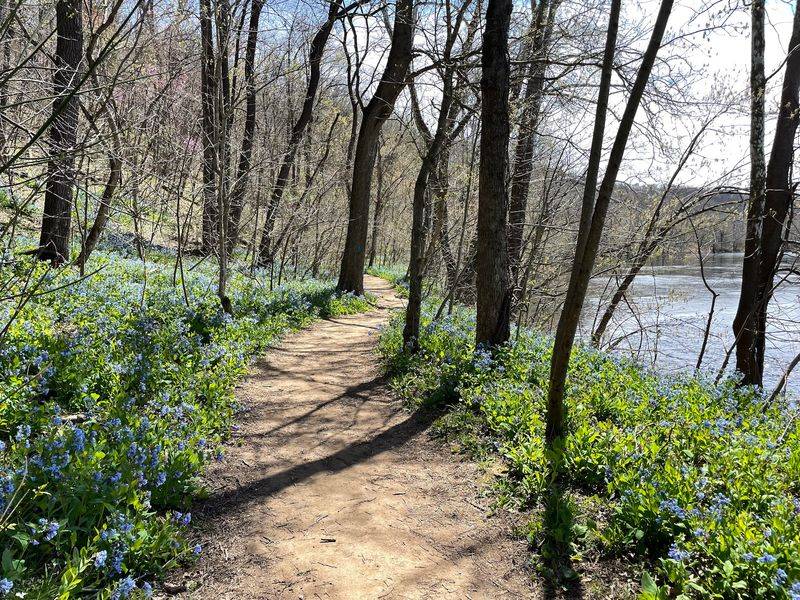 A Trail Network for Every Kind of Walker A Trail Network for Every Kind of Walker