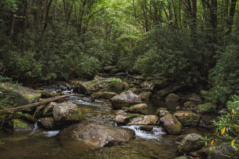 A Trail That Follows a Rushing Mountain River