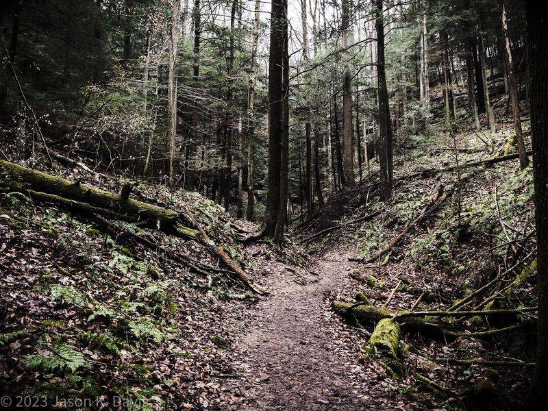 A Trail That Keeps You Guessing A Trail That Keeps You Guessing