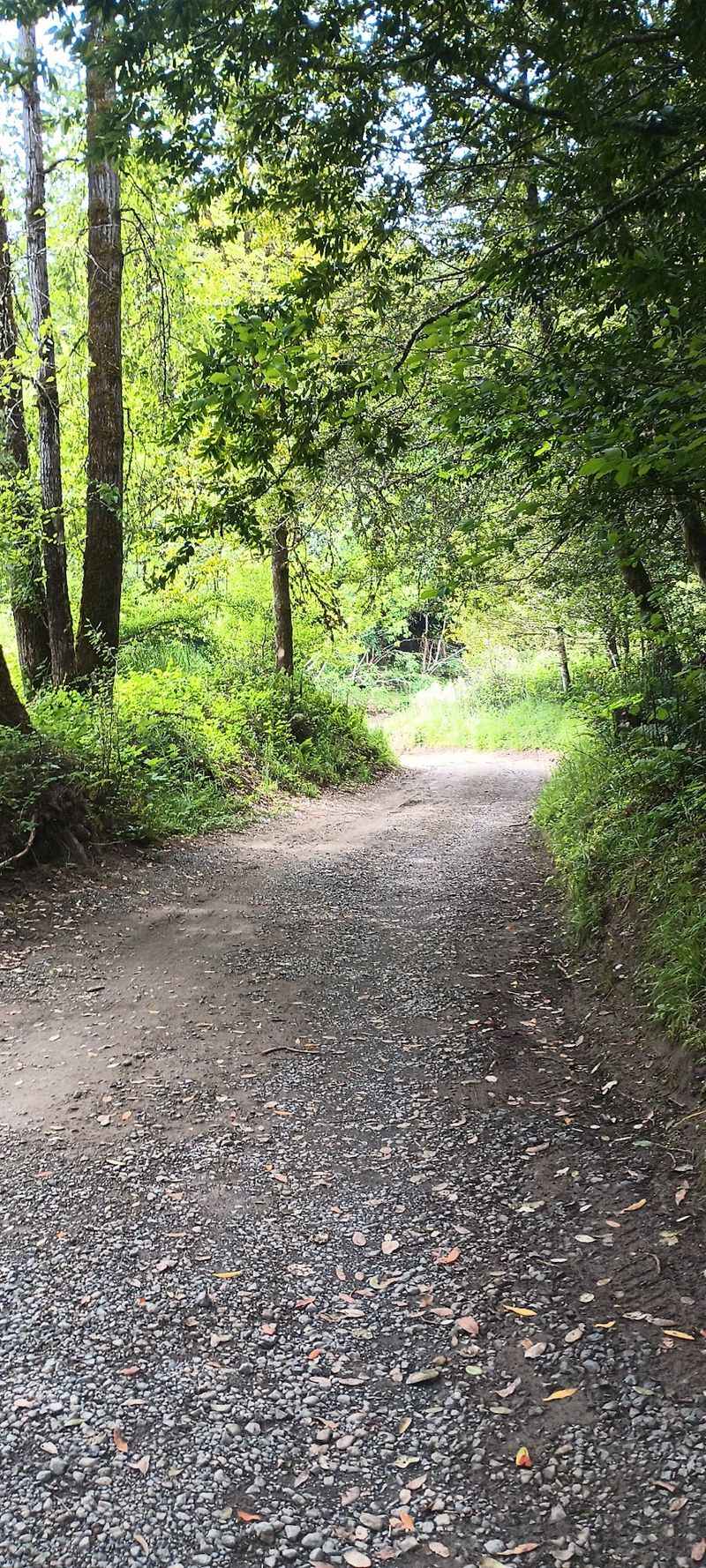 A Trail That Leads Straight to the River