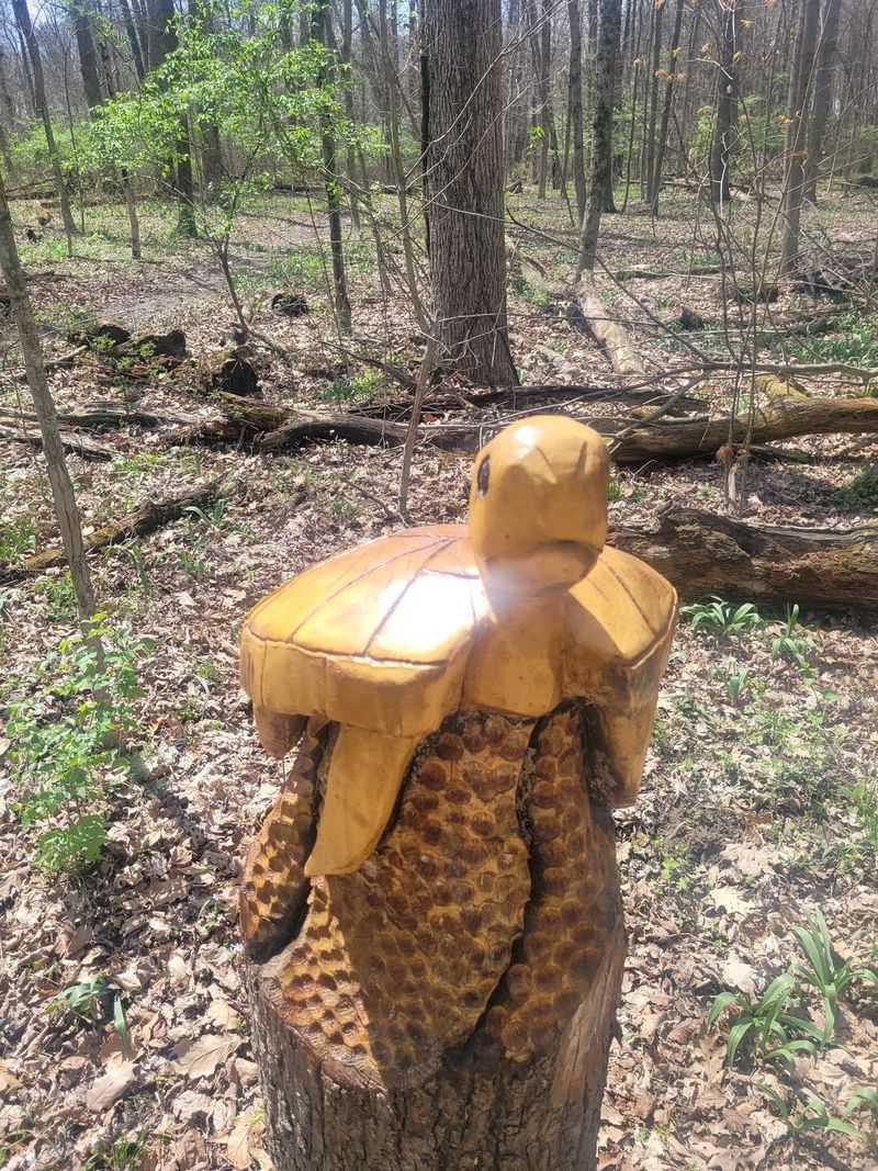 A Treasure Maze and a Trail With a Legend