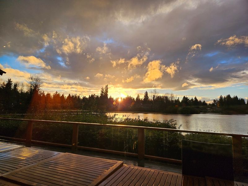 A View That Steals The Show
