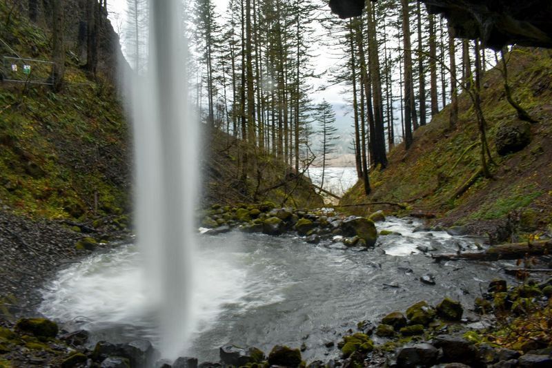 A Walk Behind Upper Horsetail