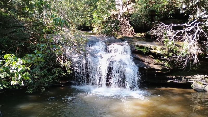 A Waterfall Right Off the Trailhead