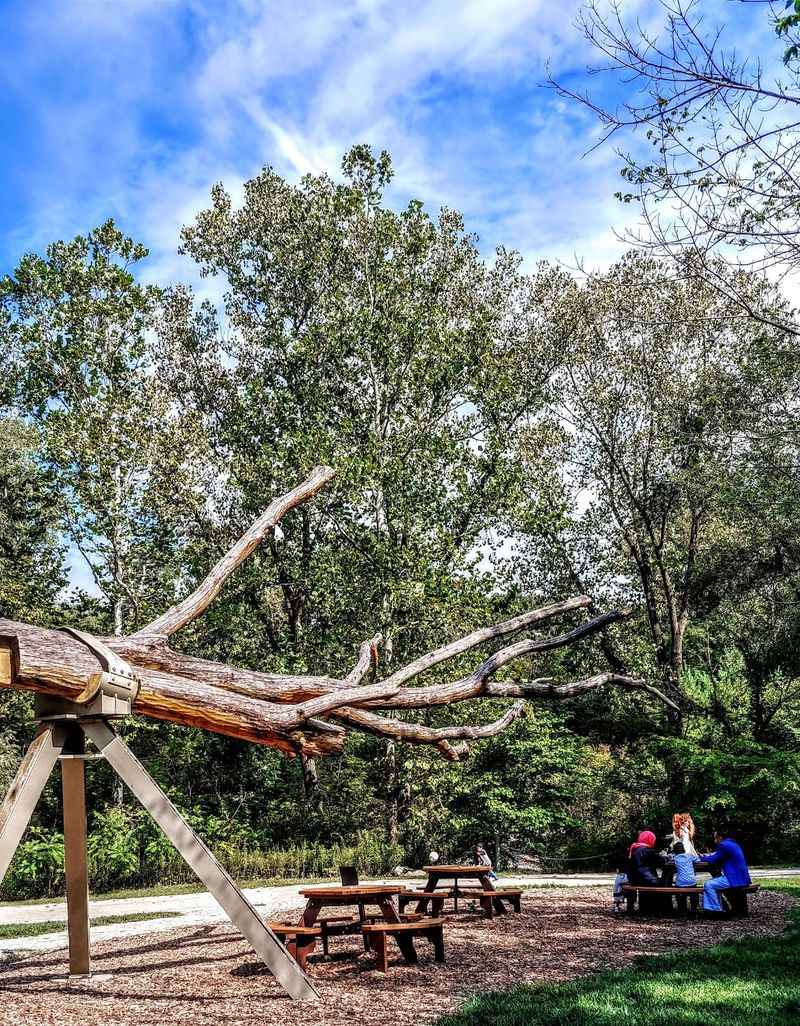 A Welcoming Spot For Dogs And Their People