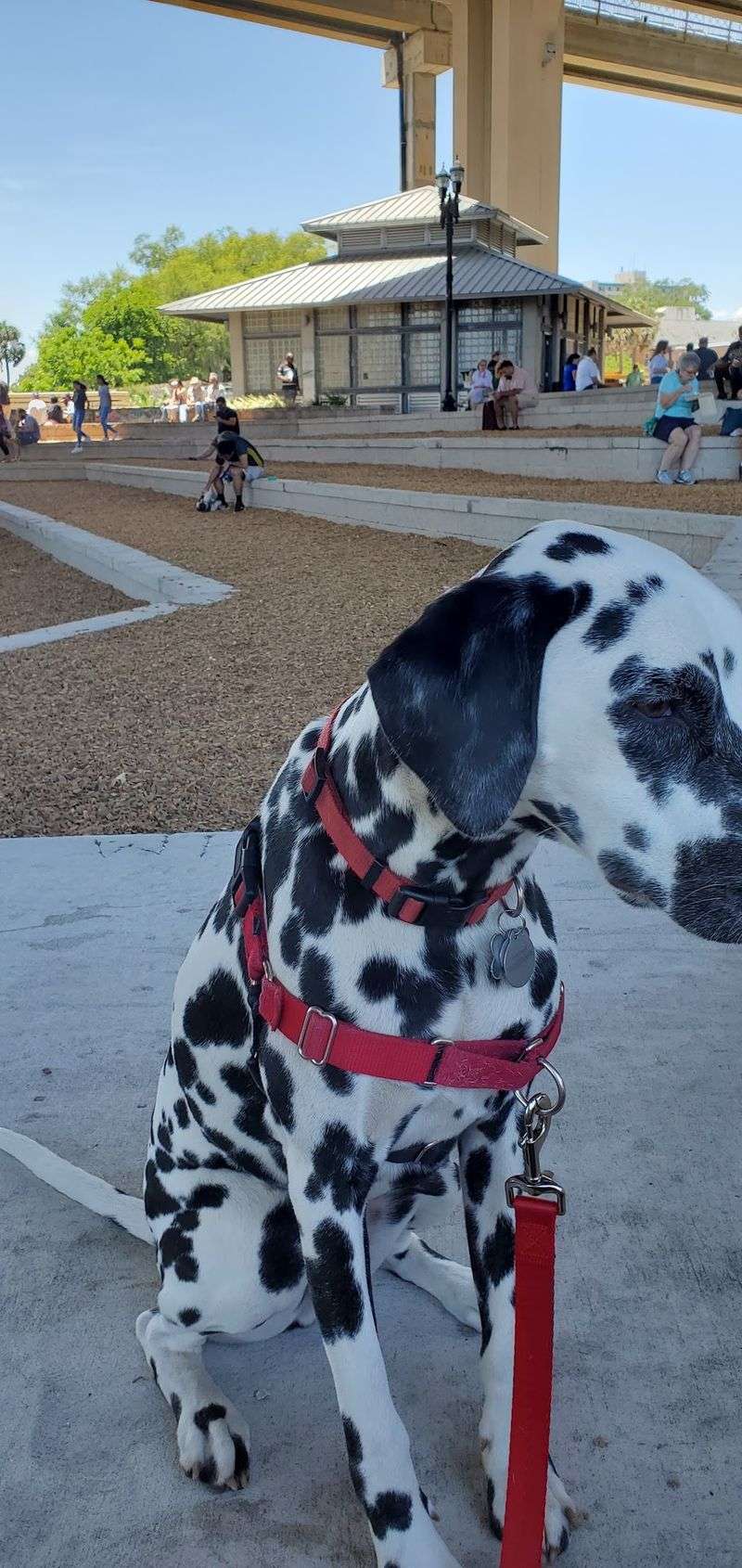 A Welcoming Spot for the Whole Family