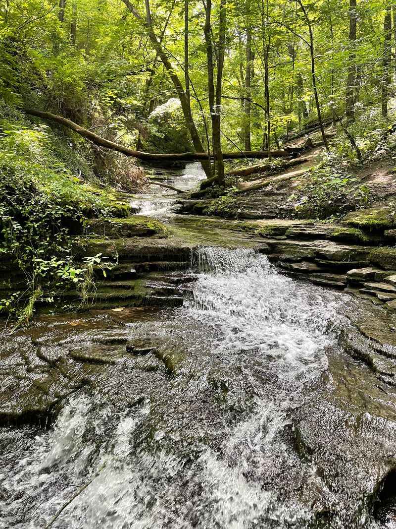 A Wooded Preserve Tucked Off Corman Lane A Wooded Preserve Tucked Off Corman Lane