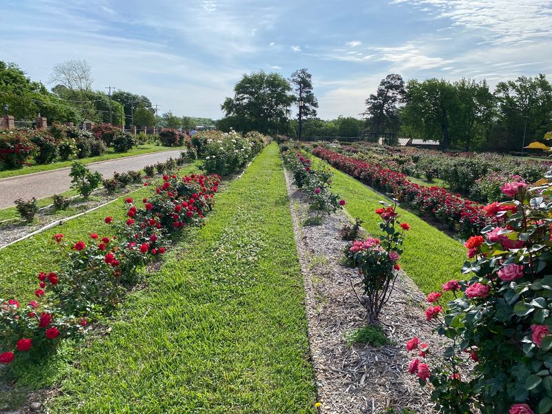A Year-Round Bloom Calendar