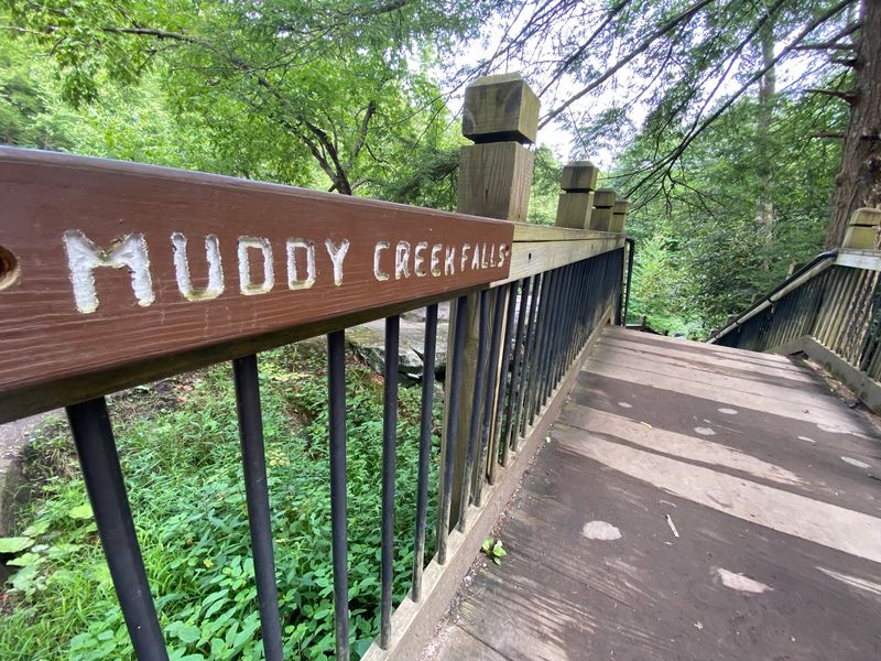 Accessible for Nearly Everyone