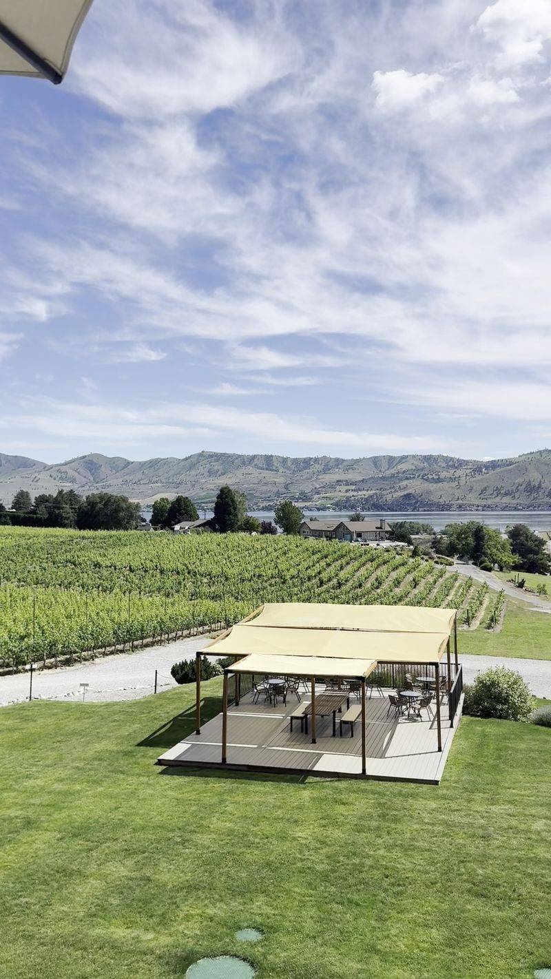 Amos Rome Vineyards, Manson, WA Amos Rome Vineyards, Manson, WA