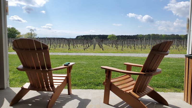 An Afternoon Made For Grown-Up Downtime