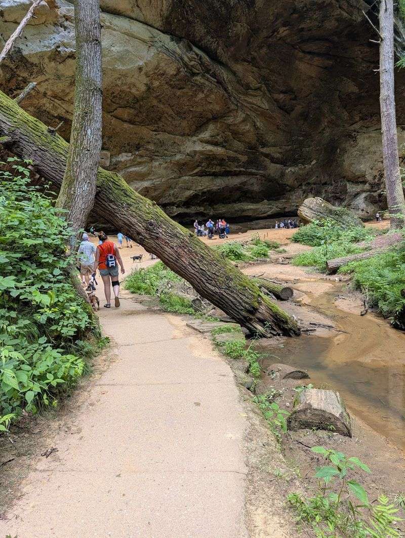 An Easy Paved Path Almost Anyone Can Enjoy An Easy Paved Path Almost Anyone Can Enjoy