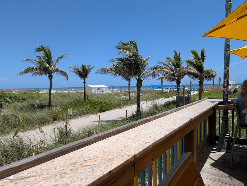 An Ocean View You Won't Forget