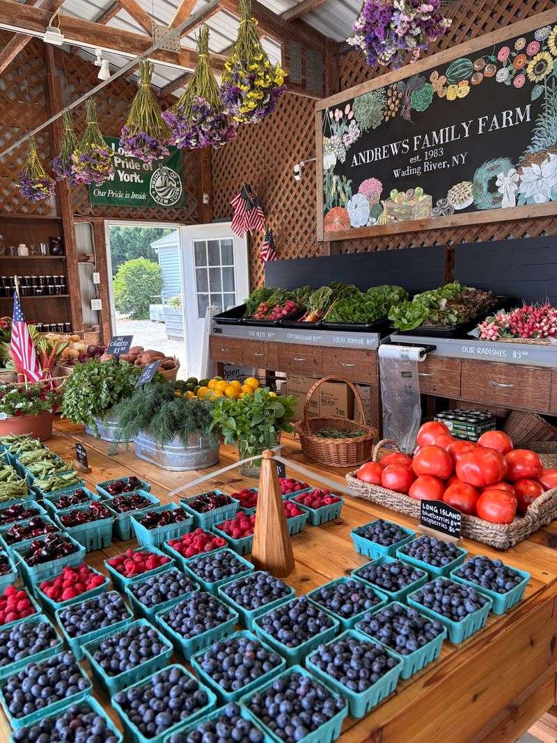 Andrews Family Farm, Calverton, NY