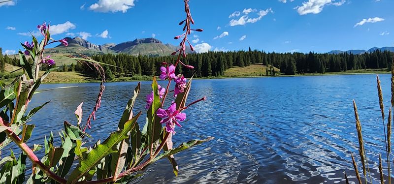 Andrews Lake