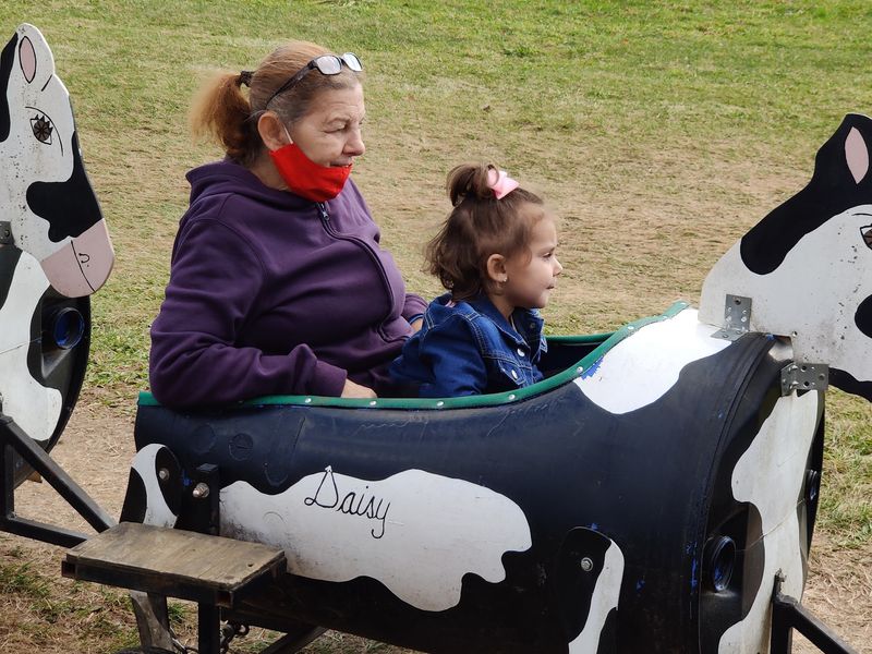 Animals, Play Areas, And Fun For The Little Ones Animals, Play Areas, And Fun For The Little Ones