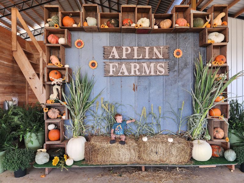 Aplin Farms, Dothan, Alabama Aplin Farms, Dothan, Alabama