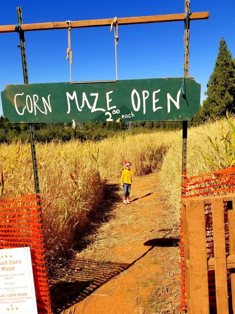 Apple Hill Bakeries, Camino