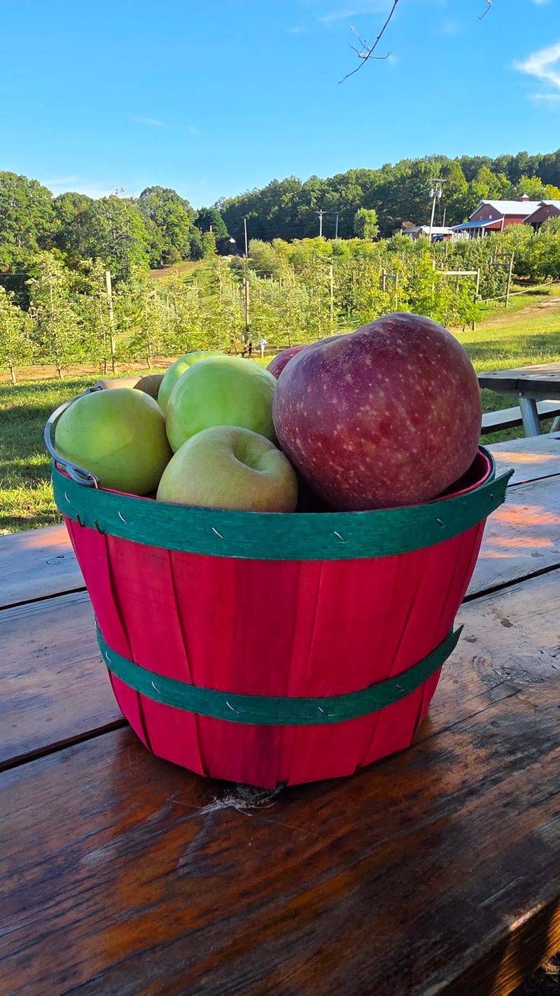 Apple Hill Orchard and Cider Mill, Morganton, NC