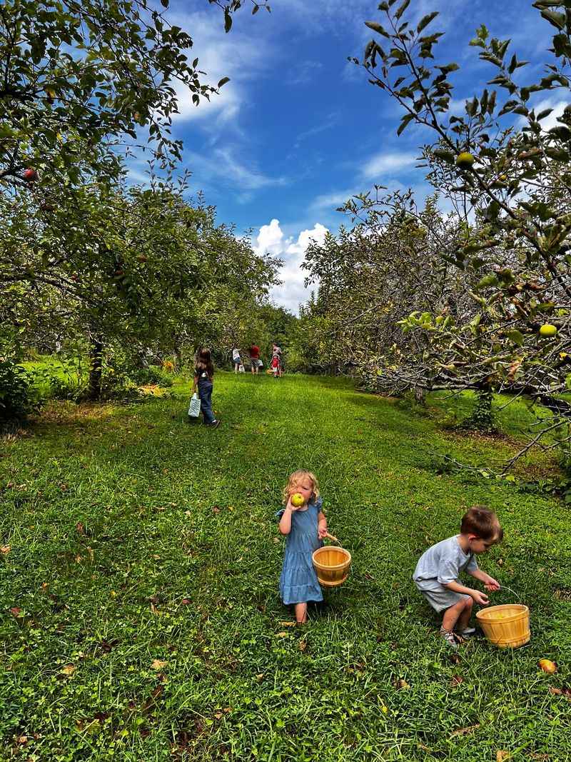 Apple hill orchard, Treadway, TN
