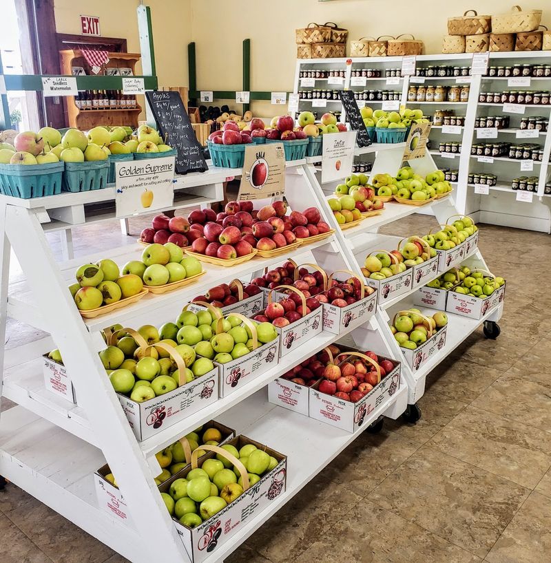 Apples in Every Shape and Shade