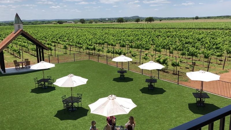 Augusta Vin, Fredericksburg, TX