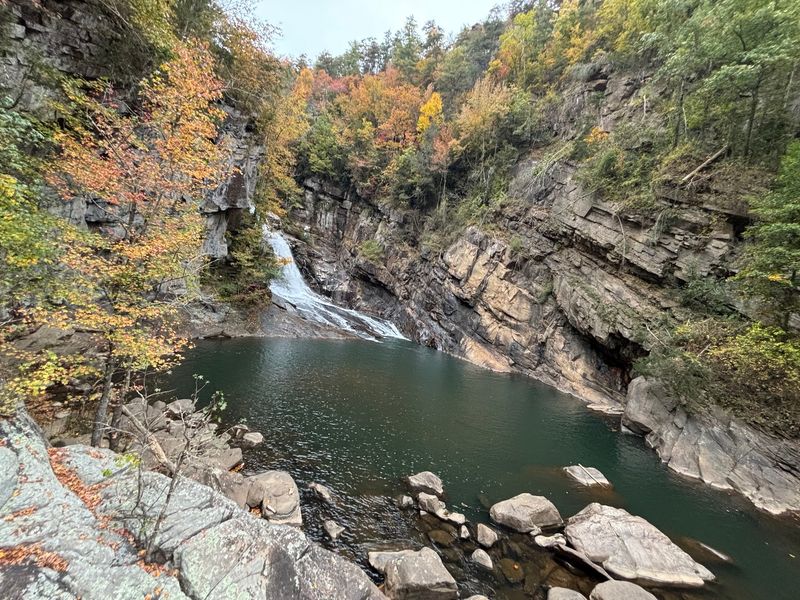 Autumn Colors and Seasonal Magic
