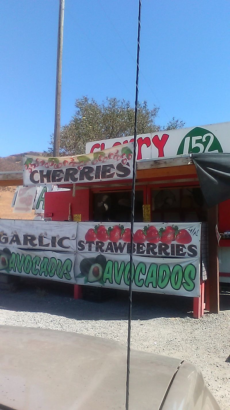 Avocado Shop, Gilroy, CA