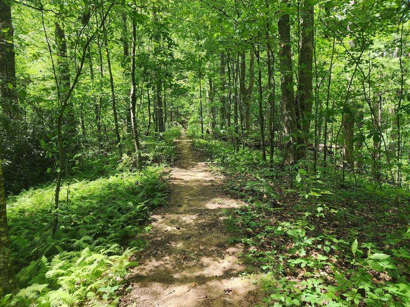 Backcountry Miles for Serious Hikers