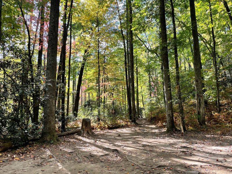 Backcountry Quiet and Jeep Trails