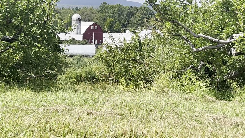 Bashista Orchards, Southampton, MA