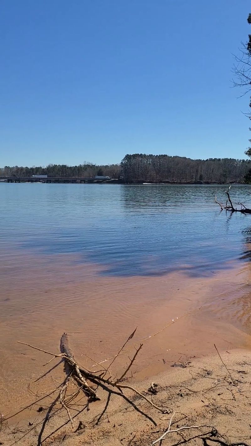 Beach Access Along The Savannah River