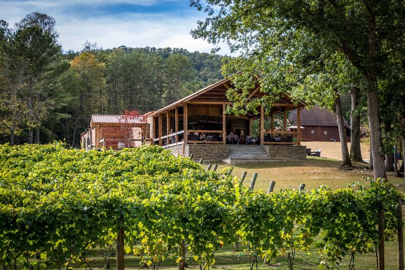 Bear Claw Vineyards & Winery, Inc., Blue Ridge, GA
