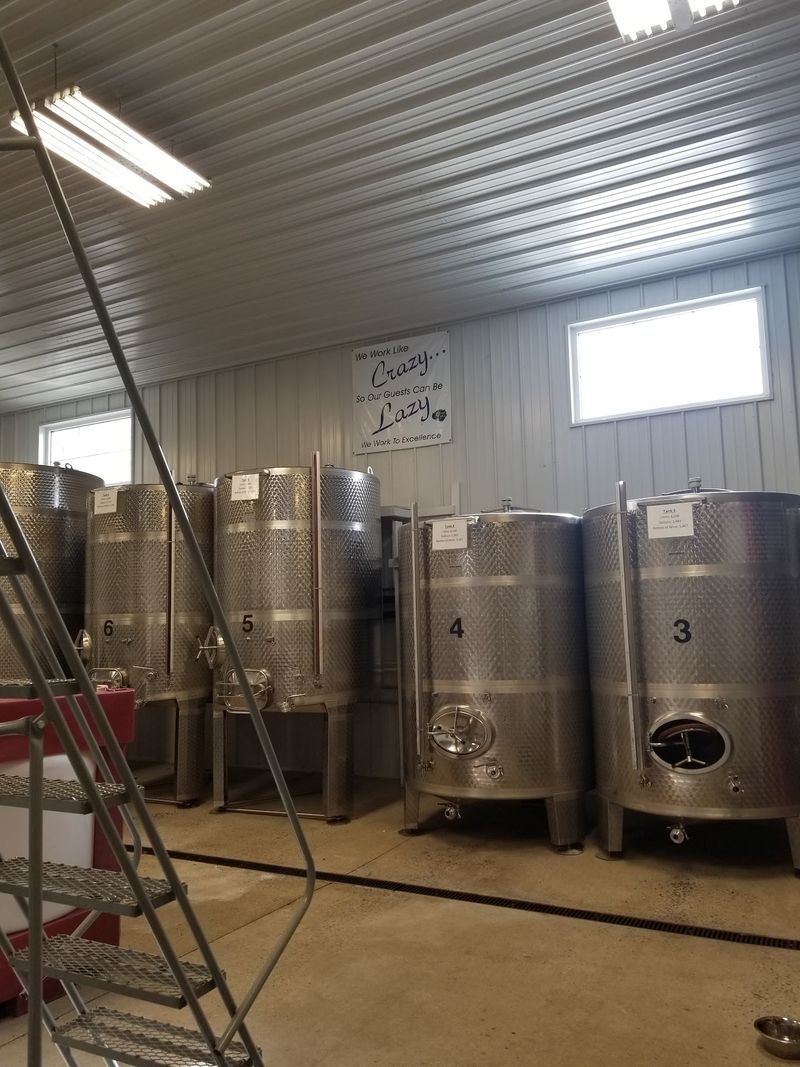 Behind The Scenes On A Winery Tour