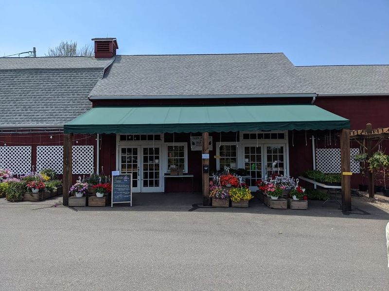 Belltown Hill Orchards, South Glastonbury