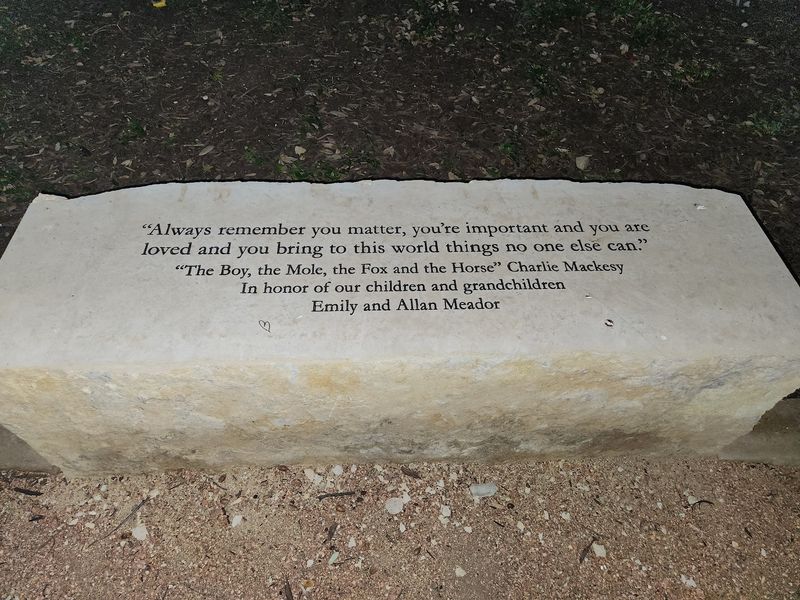 Benches Built for Reading and Resting