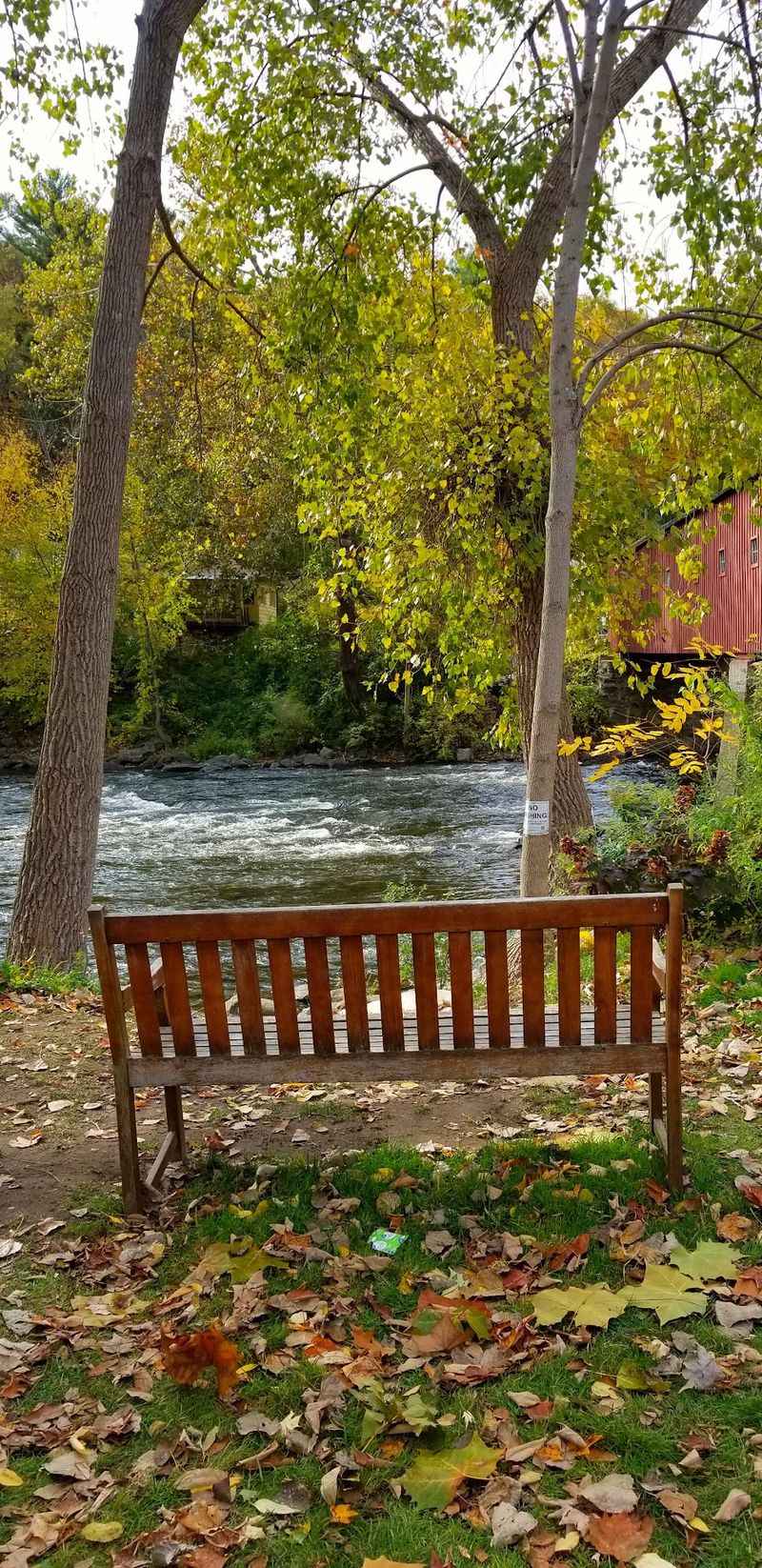 Benches, Picnics, And Slow Afternoons Benches, Picnics, And Slow Afternoons