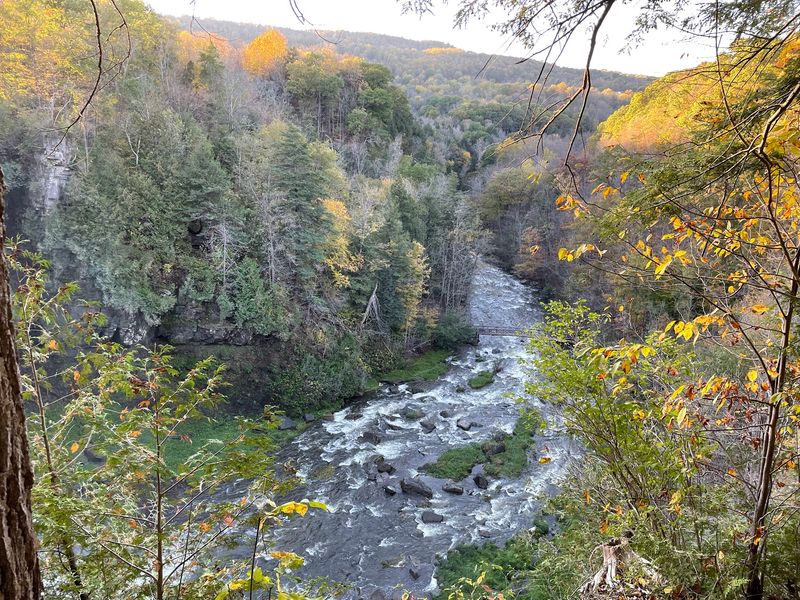Beyond the Falls: The Chips and Meadows Trails Beyond the Falls: The Chips and Meadows Trails