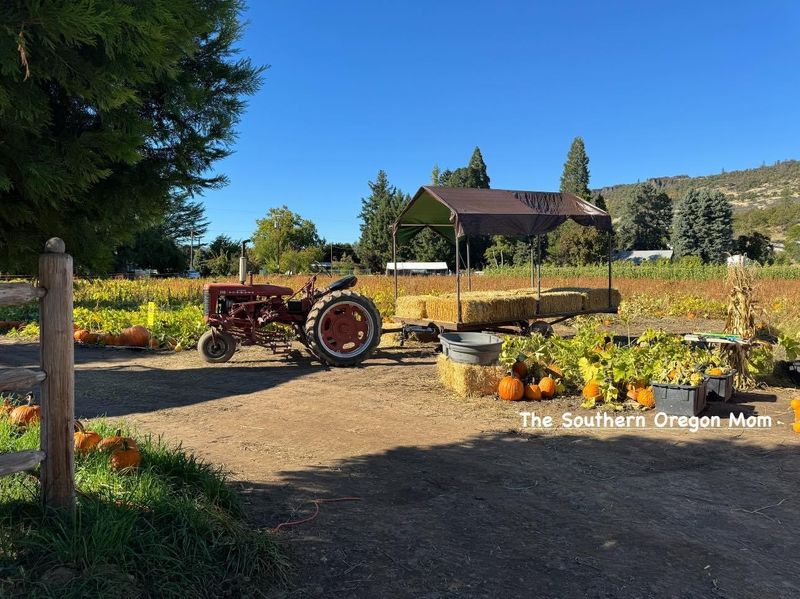 Bigham Farms, Central Point, OR