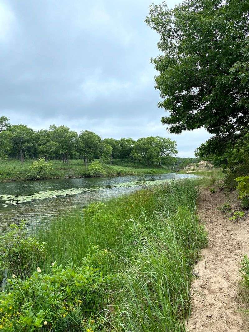 Birding At The Great Marsh