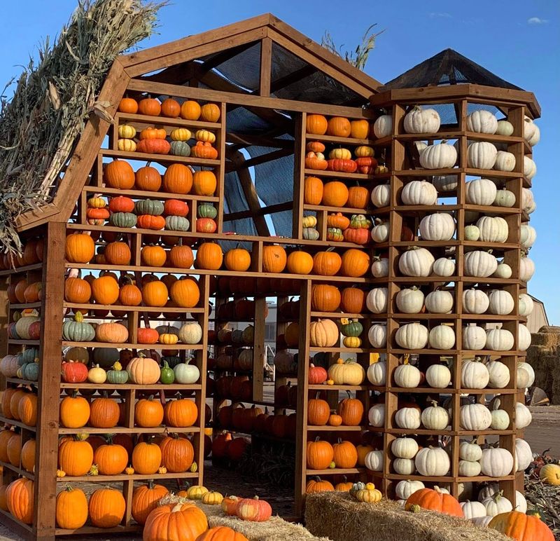 Bloomsdale Fun Farm | Missouri Pumpkin Fest, Bloomsdale, MO