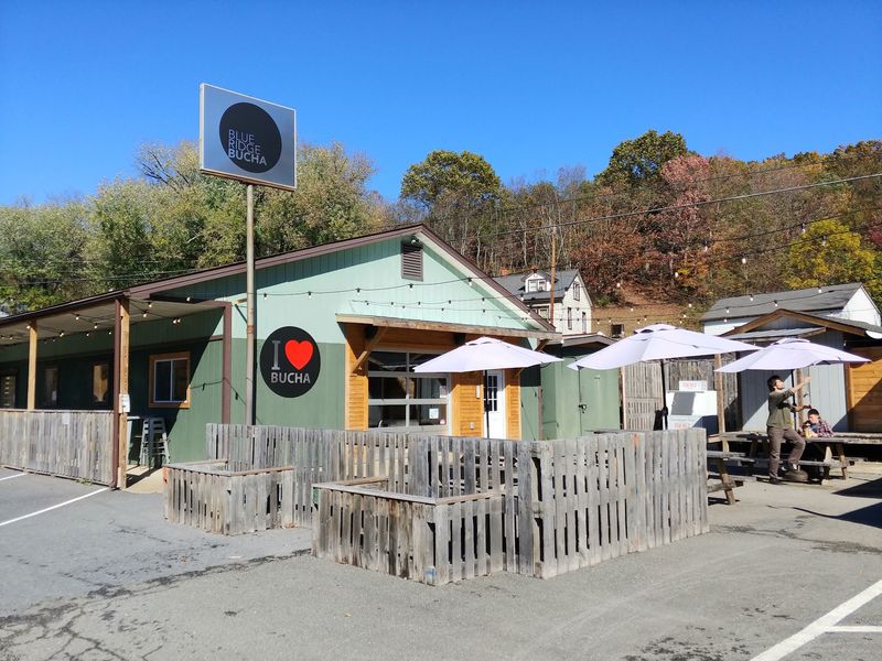Blue Ridge Bucha and Bakery Stops, Nellysford, Virginia Blue Ridge Bucha and Bakery Stops, Nellysford, Virginia