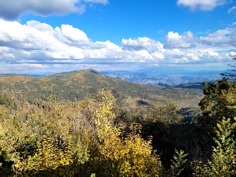 Blue Vista - Scenic Overlook Blue Vista - Scenic Overlook