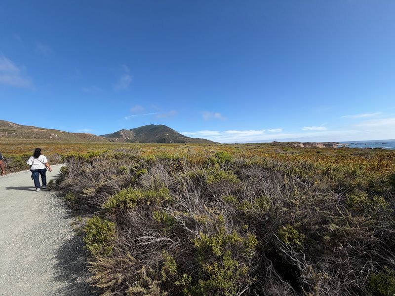 Bluff Trail, Montana de Oro State Park, Los Osos